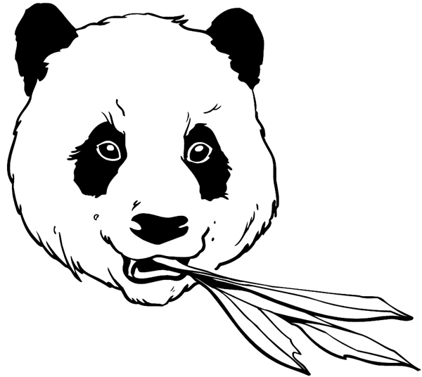 Panda's head vinyl sticker. Customize on line.       Animals Insects Fish 004-1147  